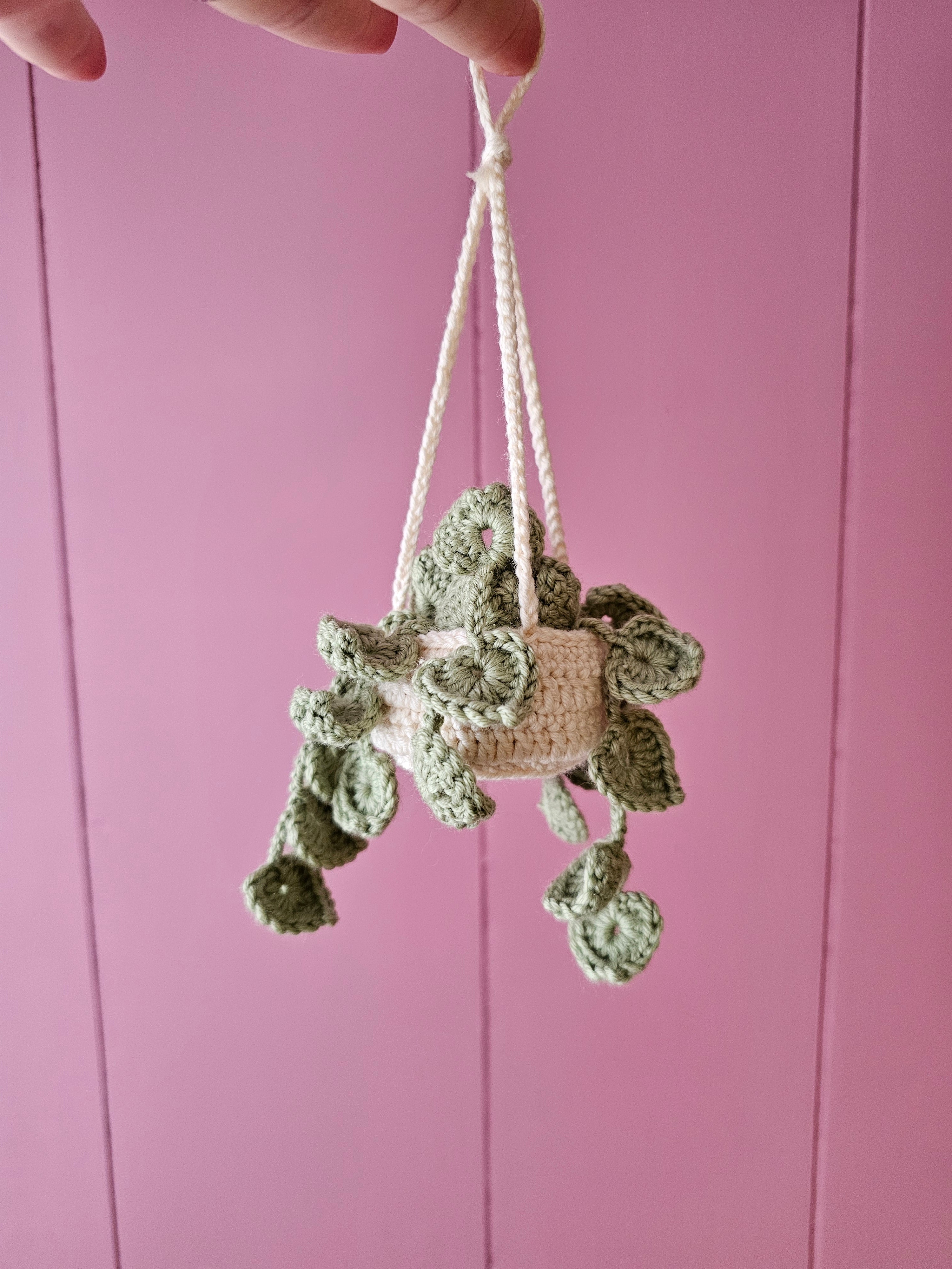 NON-PROP; Hanging Plant; Pre-Order